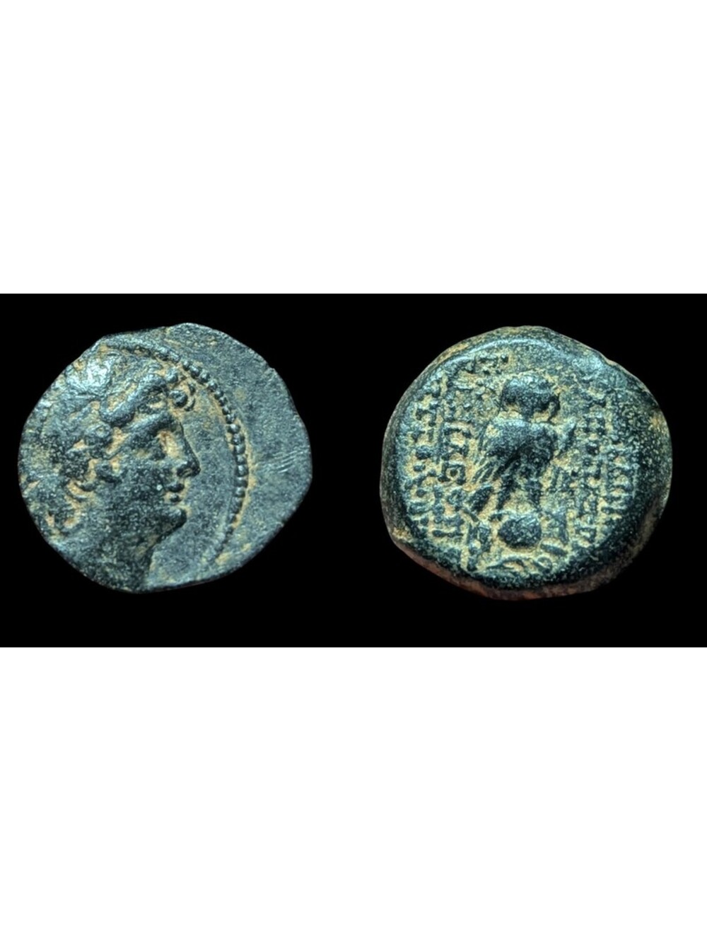 Seleucid Kingdom Cleopatra Thea Antiochos VIII OWL Ancient Greek Coin